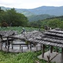 산청 수선사와 남사예담촌 즐거운 탐방 이미지