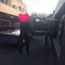 마스디자인