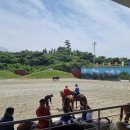 더마파크 | 제주 여행 더마파크 말 공연 관람 후기 가족 여행 코스로 쵝오