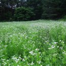 힐링팬션 이미지