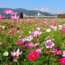 삼문동둔치주차장 이미지