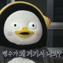 해안원 이미지