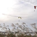 강경젓갈 이미지