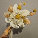 오드리 인 | 제주 스냅 촬영 부케 왕추천 파크유어바이크 내돈내산 (오드리테일러 생화 부케 추가)