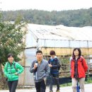 차령농장 이미지