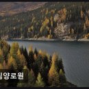 엘림양로원 네이버블로그