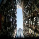 유창맨션앞교차로 교통섬 | 홍콩 1인 여행 솔직한 방문 후기