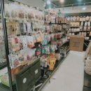 101 애견미용 이미지