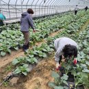 괴산군농업기술센터 이미지