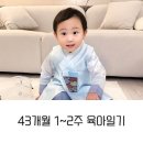 신남어린이집 | [43개월 1~2주 육아일기] 어린이집 추석행사 · 추석연휴 · 공룡월드 · 실내동물원 · 키즈카페