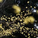 금호동 장미아파트 이미지