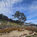 은현교통 | 동두천 대형 베이커리카페 윤쉐프 정직한 제빵소