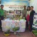 천안중앙초등학교 이미지