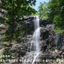1119 | [울주] 재약산(載藥山 1,119m) 산행후기---2025년 5월 25일(일)