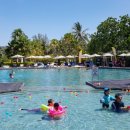 이비자노래타운 이미지