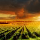 무지개모텔 이미지