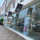 청주 시내 카페 성안길 그리프 커피 GRIFF COFFEE 에서 꾸덕한 초코 테린느 먹는 일상