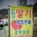 영복농장 이미지