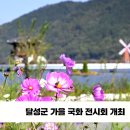 달성군 가을국화전시회 개최 경북도민방송TV 경북도민방송 설윤지기자 한국신문방송인협회 달성군청 최재훈군수 이미지