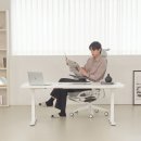 1400 | 에이픽스 듀얼 모터 스탠딩 데스크 1400 사용 후기