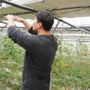 덕명농장 이미지