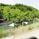 상곡리농장 이미지