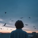 공인케이번역행정사사무소 | 강남번역공증 준비하면서 느낀 솔직한 후기