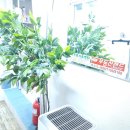 청담안마지압원 | 청담동마사지 제대로 하는 정통안마지압원, 실제 방문 후기