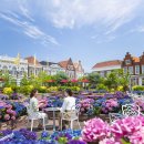 돌고래하우스 이미지