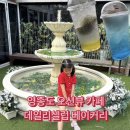데일리뷰 | 영종도 오션뷰 카페 데일리셀럽 베이커리 카페 방문 후기