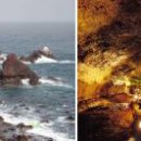 푸른마을 농수산 이미지