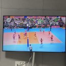 (주)조이캐스트 | 11-4 막주 가보자고 / 위키드 포굿 비추 / 조이LP / 촨촨지우바 / 집들이 / 고양스타필드 무신사 스탠다드