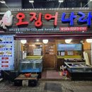 오징어나라(단관점)