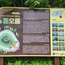 돗오름 주차장 | 제주 구좌읍 돛오름(돝오름, 돗오름, 저악) 후기! 비자림 전망이 좋은 오름! [이춘근 제주여행 티스토리...