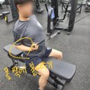 어바웃 피티 이미지