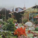 달빛이 머무는집 이미지