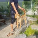 운미가 Daum카페