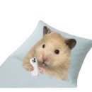 이종성피부과의원 이미지