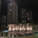 꼬꼬나라 이미지