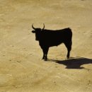 퀘렌시아 이미지