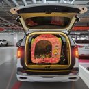 원마트약국 이미지