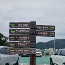 2021.09.25 부산 대청공원 중앙공원 민주공원 이미지
