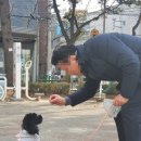 도그헬퍼 이미지