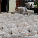 서도농장 이미지