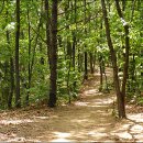 덕고개로 이미지