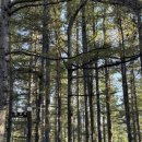 발구덕중간 이미지