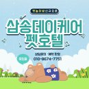 삼송데이케어 펫호텔 이미지