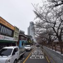 원할머니보쌈족발부산안락점