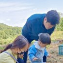 국화리팜랜드 이미지