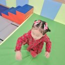 짐슐레 | 일산 4세5세6세 유아체육전문 아이들이 좋아하는 짐슐레
